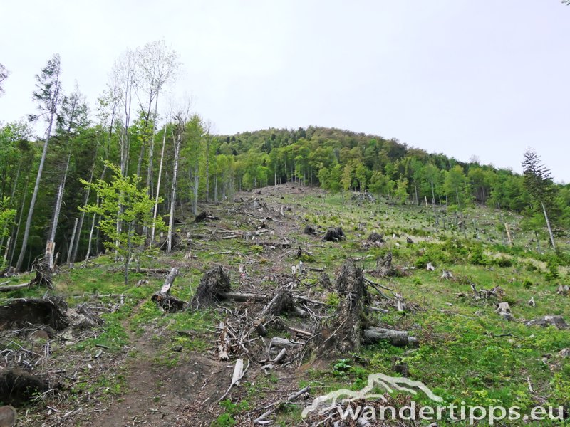 Türnitzer Höger von Osten Abbildung 3