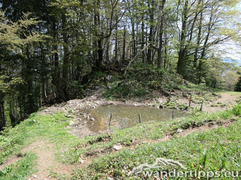 Türnitzer Höger von Osten Abbildung 4