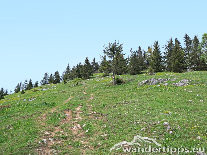 Türnitzer Höger von Osten Abbildung 5