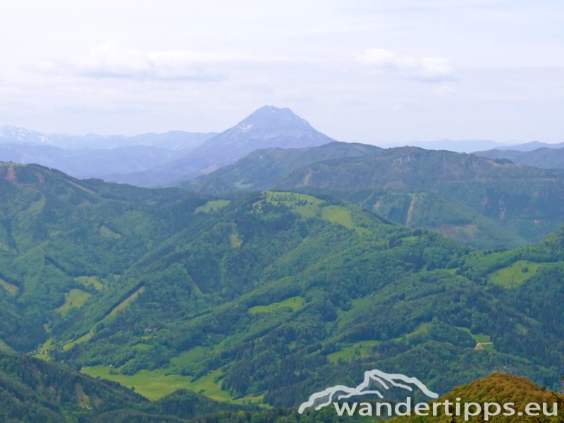Türnitzer Höger von Osten Abbildung 8
