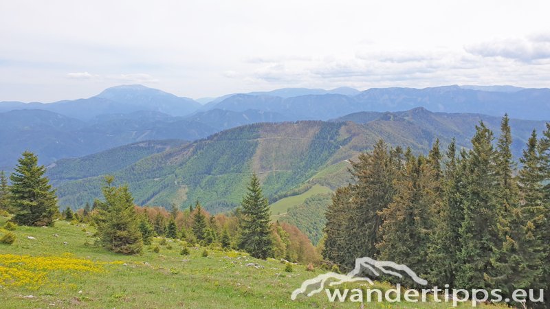 Türnitzer Höger von Osten Abbildung 9