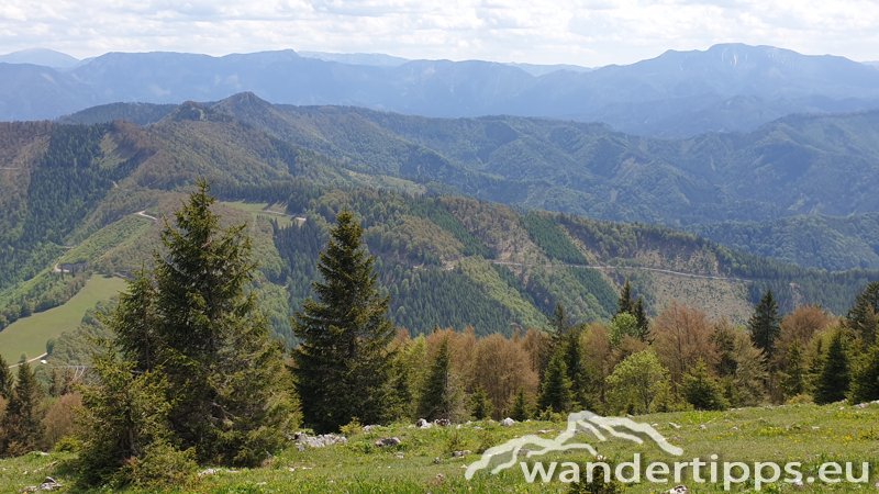 Türnitzer Höger von Osten Abbildung 10