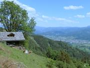 Zöberer Höhe Abbildung 16