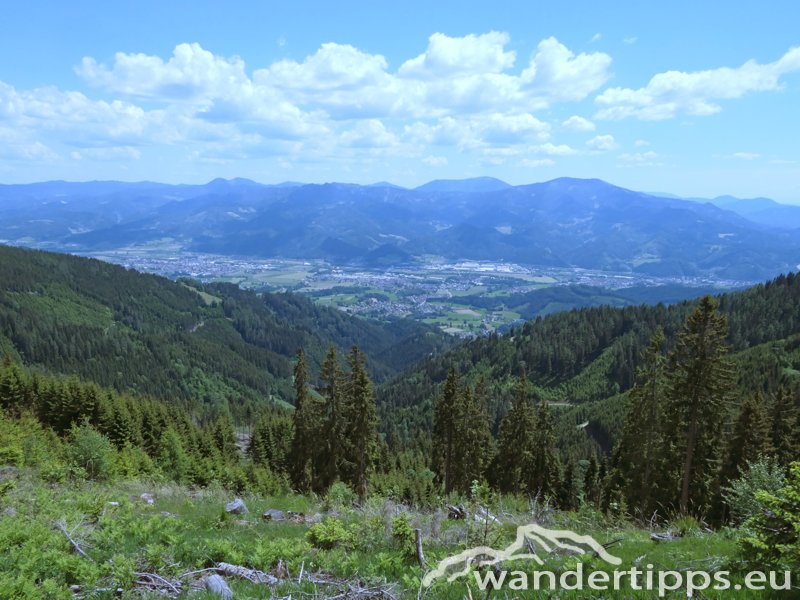 Zöberer Höhe Abbildung 14