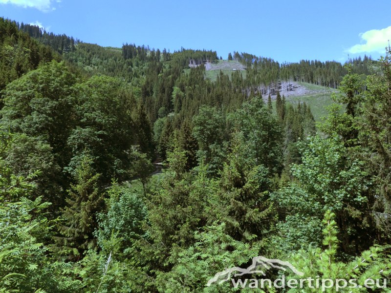 Zöberer Höhe Abbildung 15