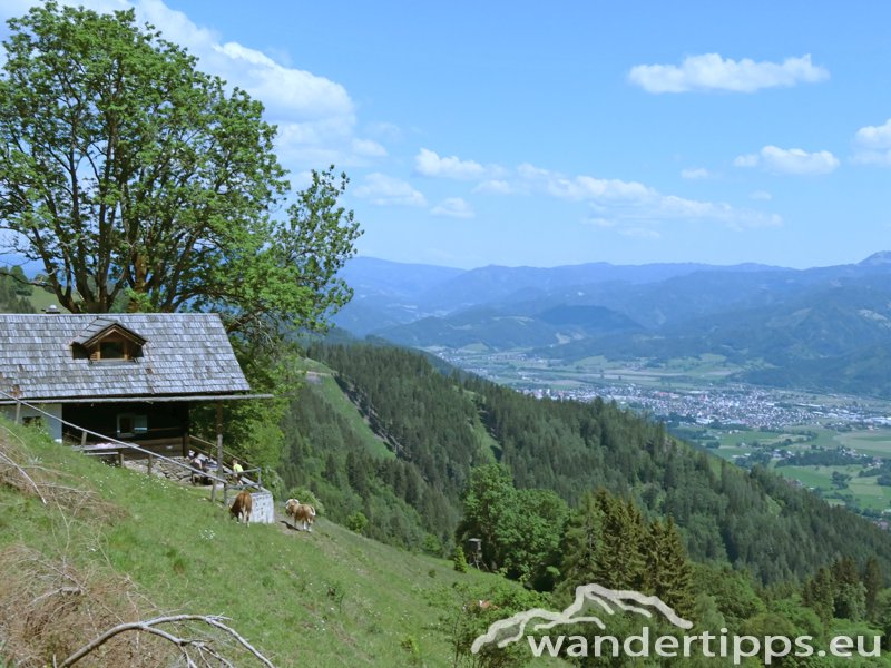 Zöberer Höhe Abbildung 16