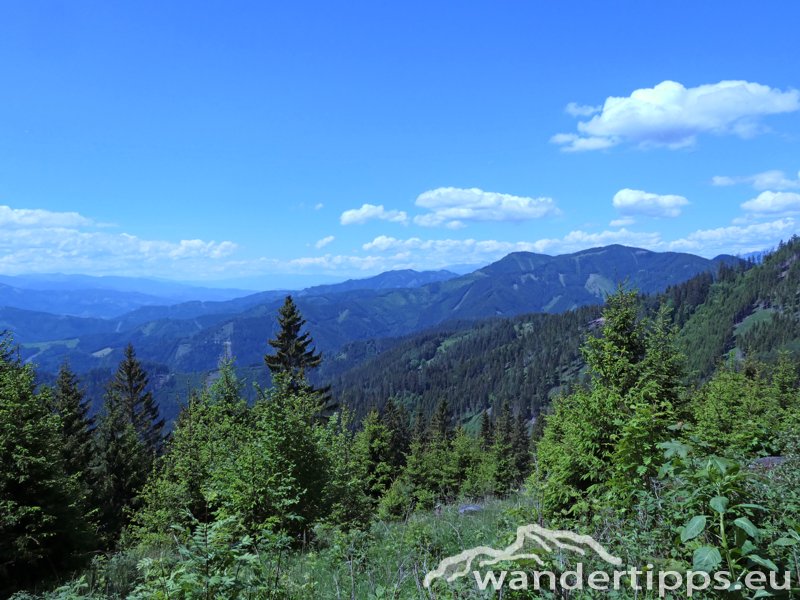 Zöberer Höhe Abbildung 5