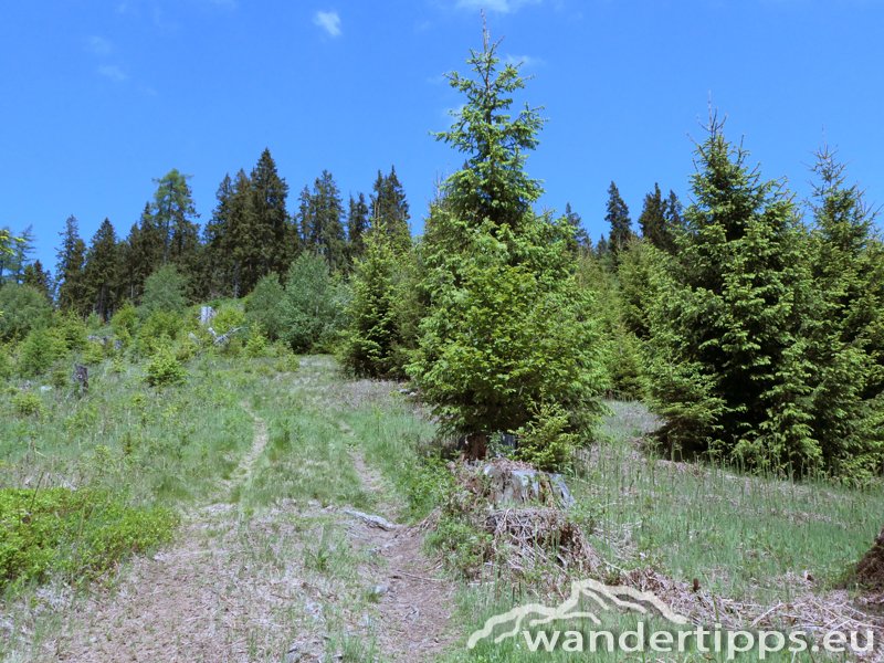 Zöberer Höhe Abbildung 6