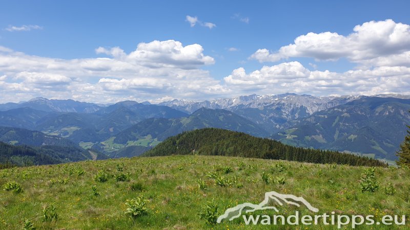 Zöberer Höhe Abbildung 9