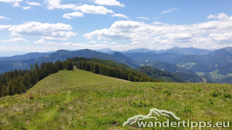 Zöberer Höhe Abbildung 10