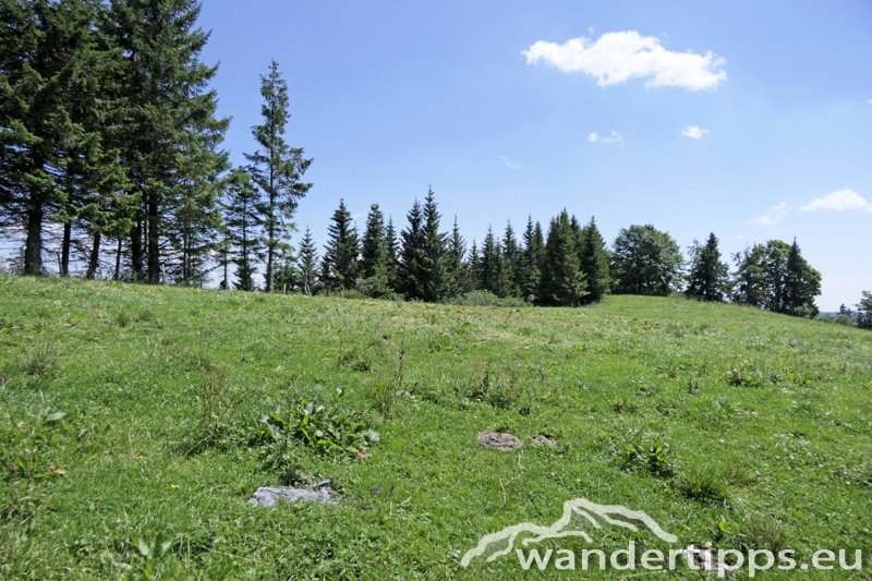 Aibel/Ebenschlag Abbildung 11