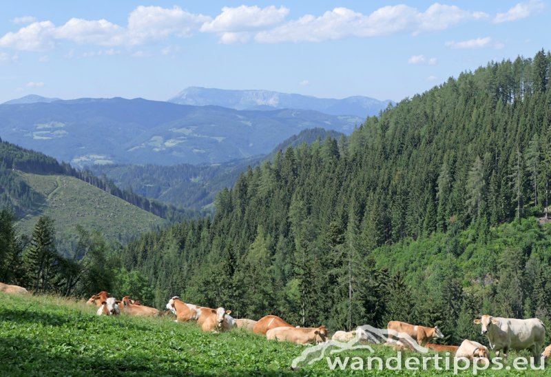 Aibel/Ebenschlag Abbildung 5