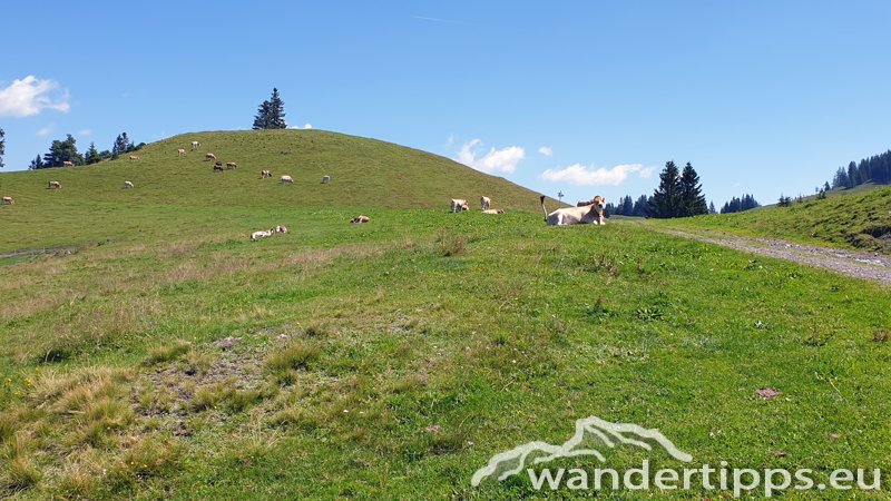 Aibel/Ebenschlag Abbildung 6