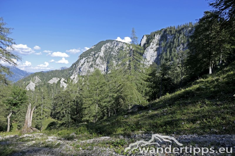 Buchberg Abbildung 19