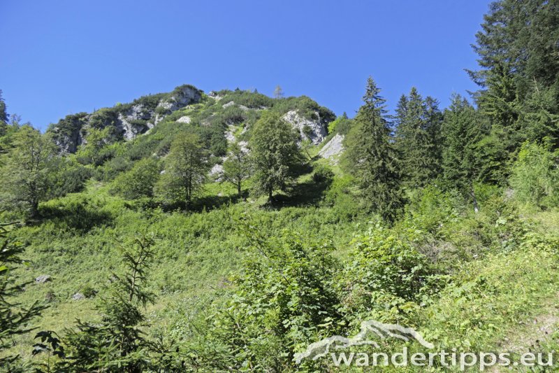 Buchberg Abbildung 3