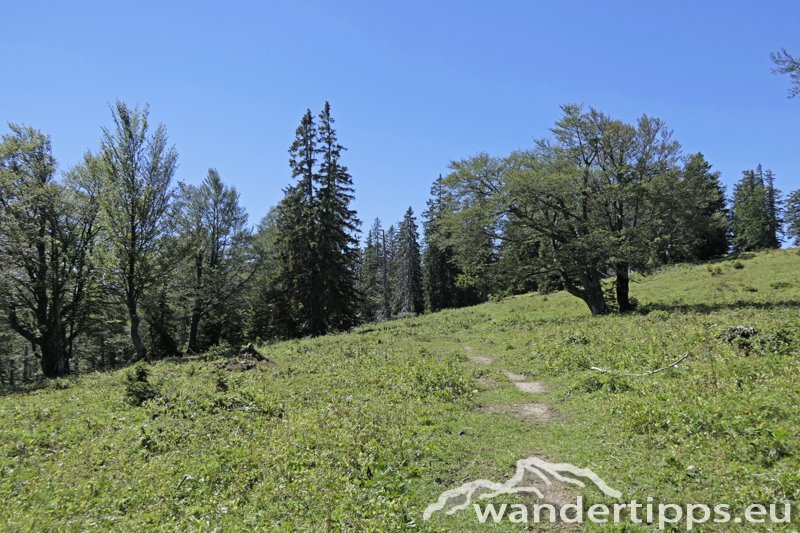 Buchberg Abbildung 7