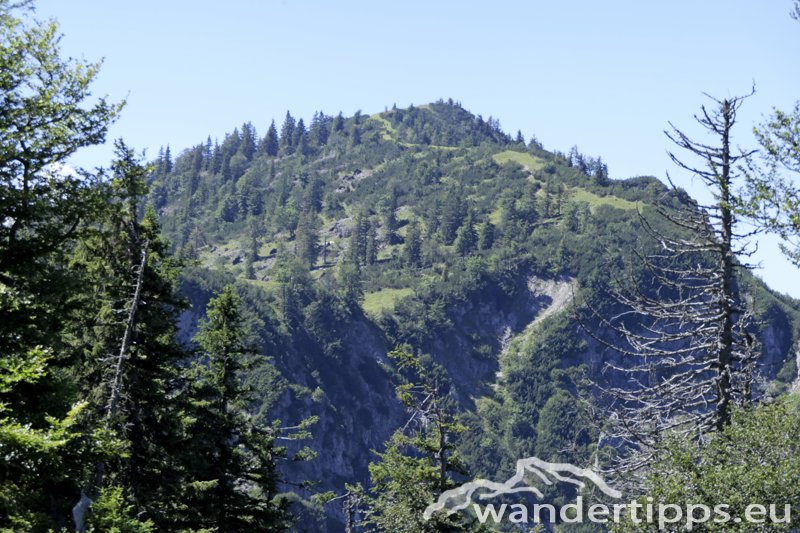 Buchberg Abbildung 9