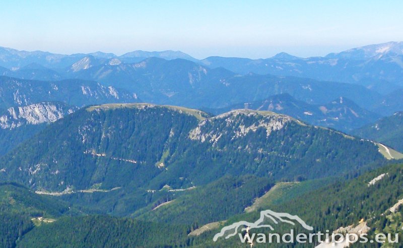 Wetterin/Kaiserstein Abbildung 1