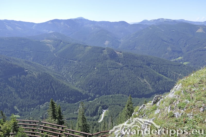Wetterin/Kaiserstein Abbildung 12