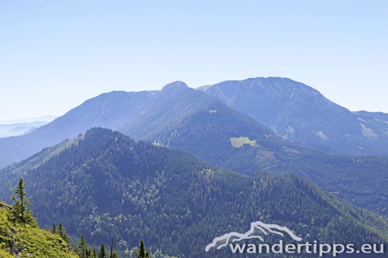 Wetterin/Kaiserstein Abbildung 13