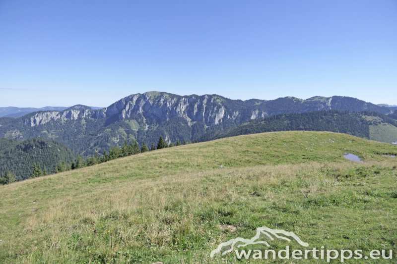 Wetterin/Kaiserstein Abbildung 14