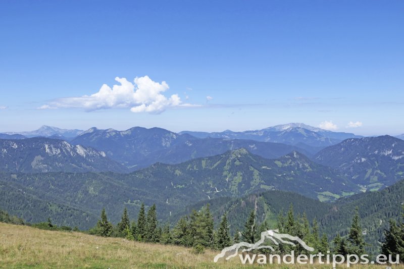 Wetterin/Kaiserstein Abbildung 15