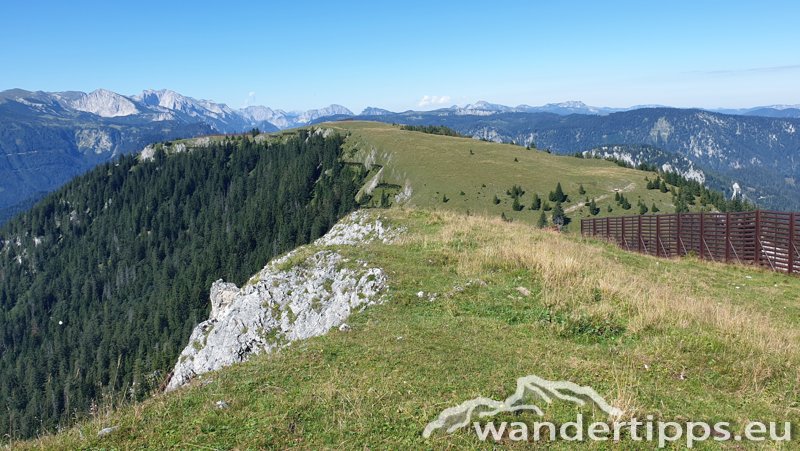 Wetterin/Kaiserstein Abbildung 16