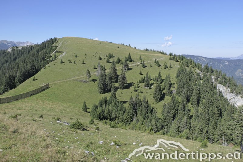 Wetterin/Kaiserstein Abbildung 17