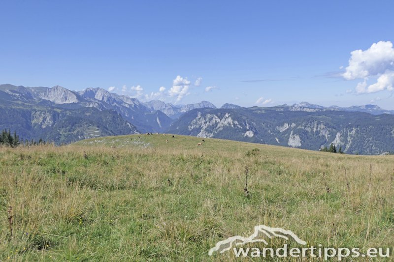 Wetterin/Kaiserstein Abbildung 18
