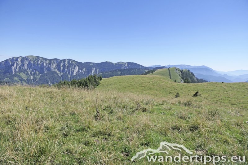 Wetterin/Kaiserstein Abbildung 19