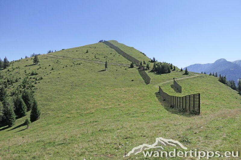 Wetterin/Kaiserstein Abbildung 20