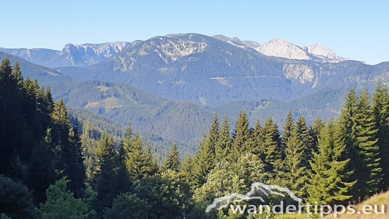 Wetterin/Kaiserstein Abbildung 3