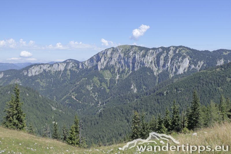 Wetterin/Kaiserstein Abbildung 21