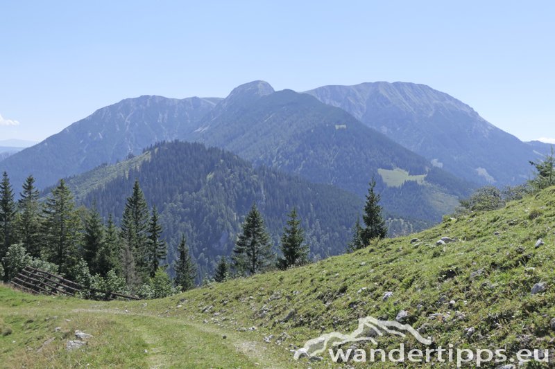 Wetterin/Kaiserstein Abbildung 22