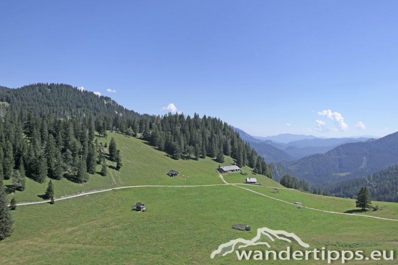 Wetterin/Kaiserstein Abbildung 23