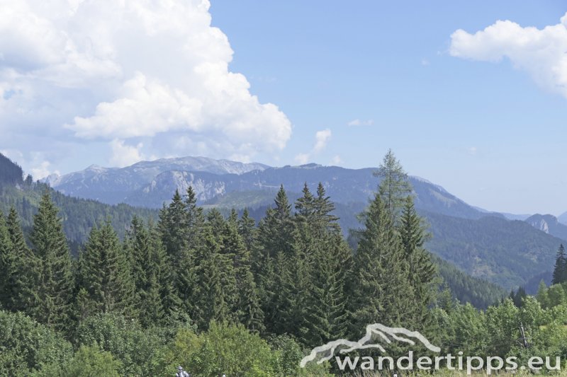 Wetterin/Kaiserstein Abbildung 4