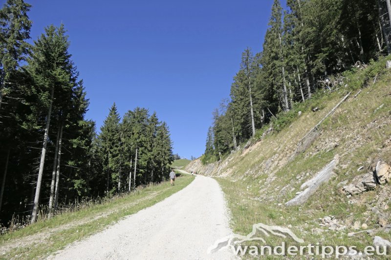 Wetterin/Kaiserstein Abbildung 5