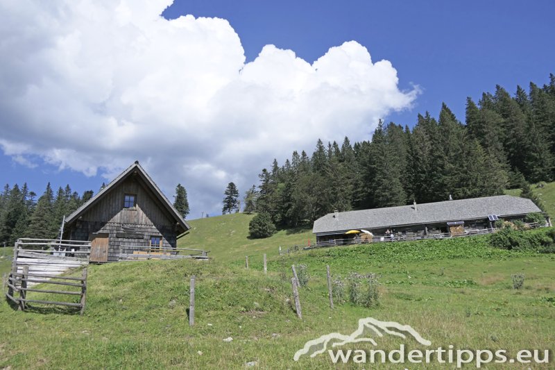 Wetterin/Kaiserstein Abbildung 6