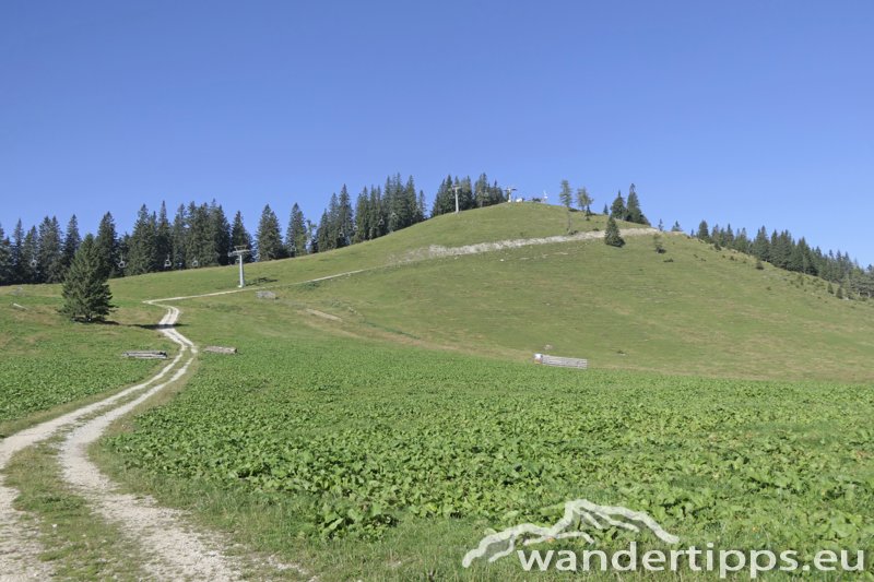 Wetterin/Kaiserstein Abbildung 7