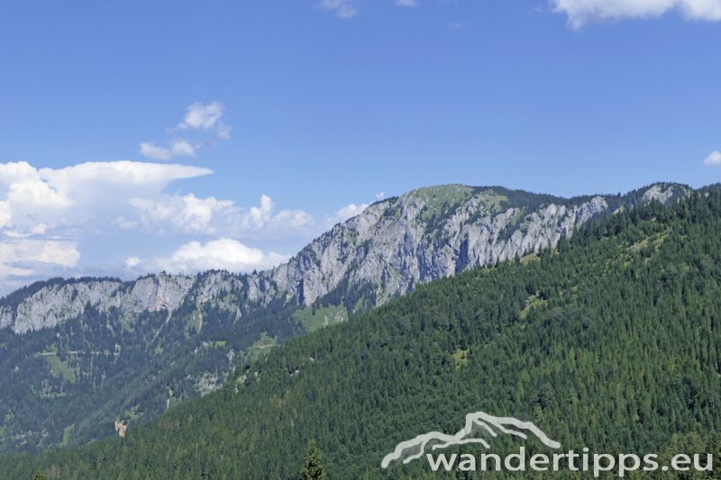 Wetterin/Kaiserstein Abbildung 8