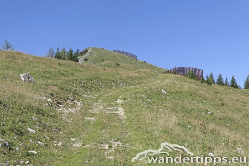 Wetterin/Kaiserstein Abbildung 9