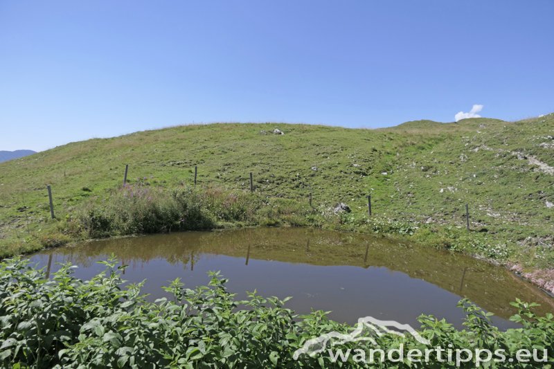 Wetterin/Kaiserstein Abbildung 10