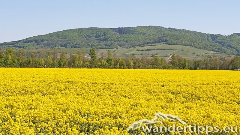 Tulbinger Kogel Abbildung 1