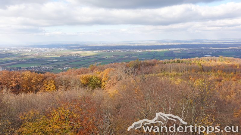 Tulbinger Kogel Abbildung 11
