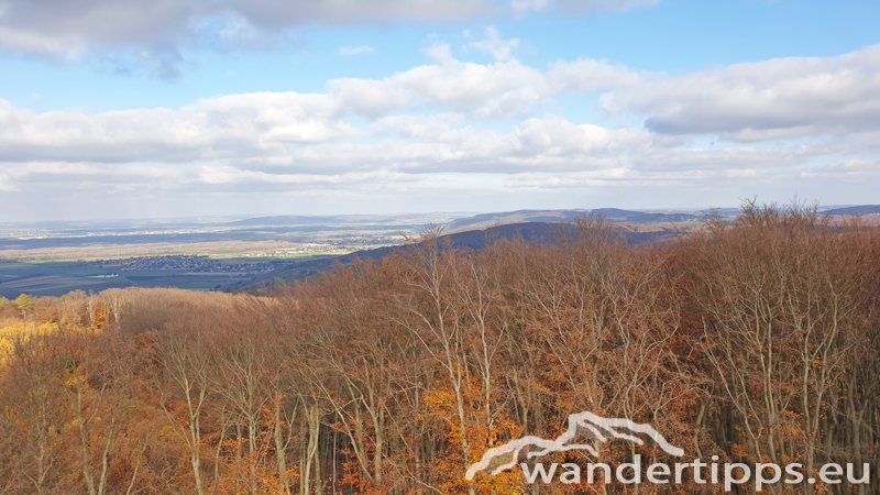 Tulbinger Kogel Abbildung 12