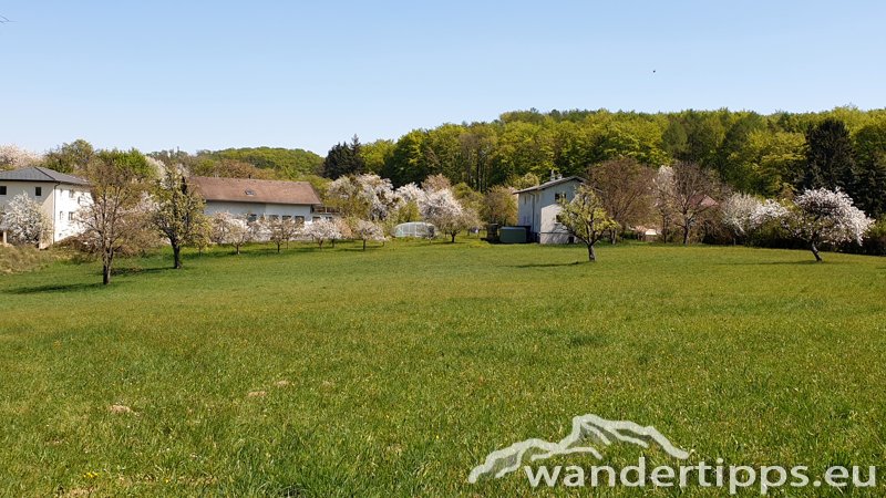 Tulbinger Kogel Abbildung 14