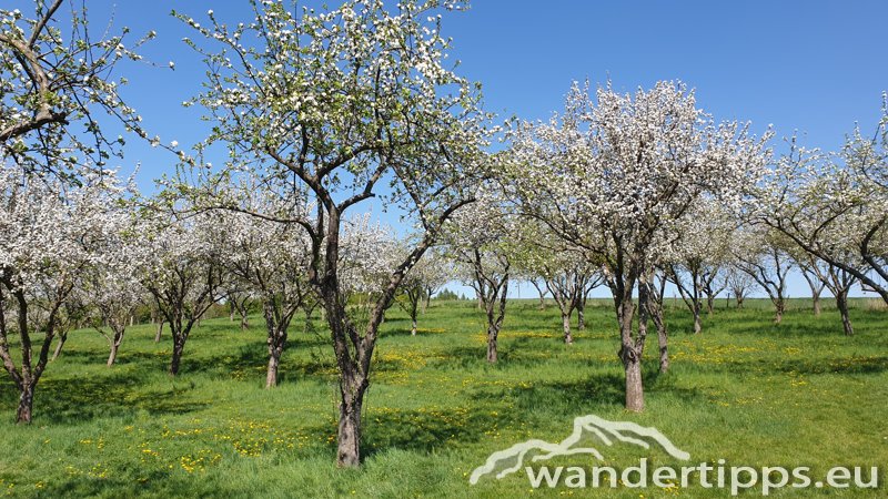 Tulbinger Kogel Abbildung 16
