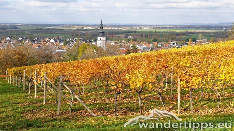 Tulbinger Kogel Abbildung 20
