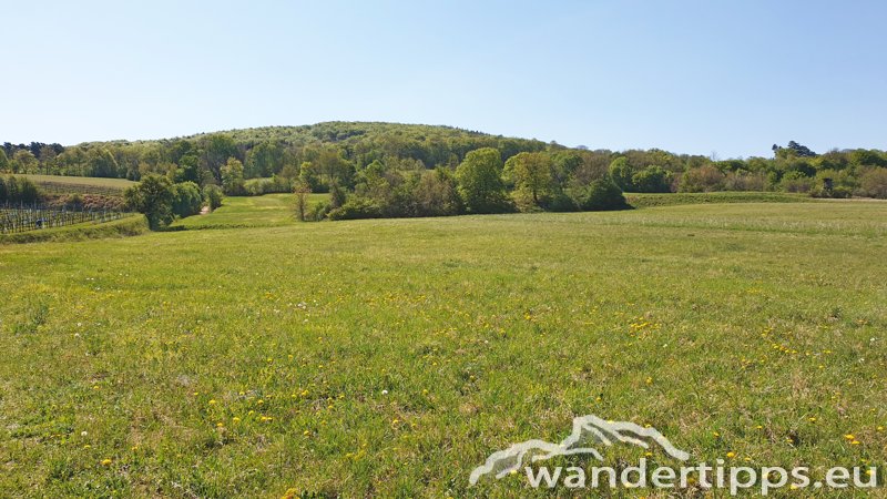 Tulbinger Kogel Abbildung 3