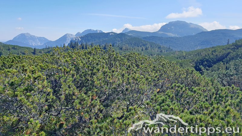 Eisenerzer Höhe/Kreuzbühel Abbildung 12